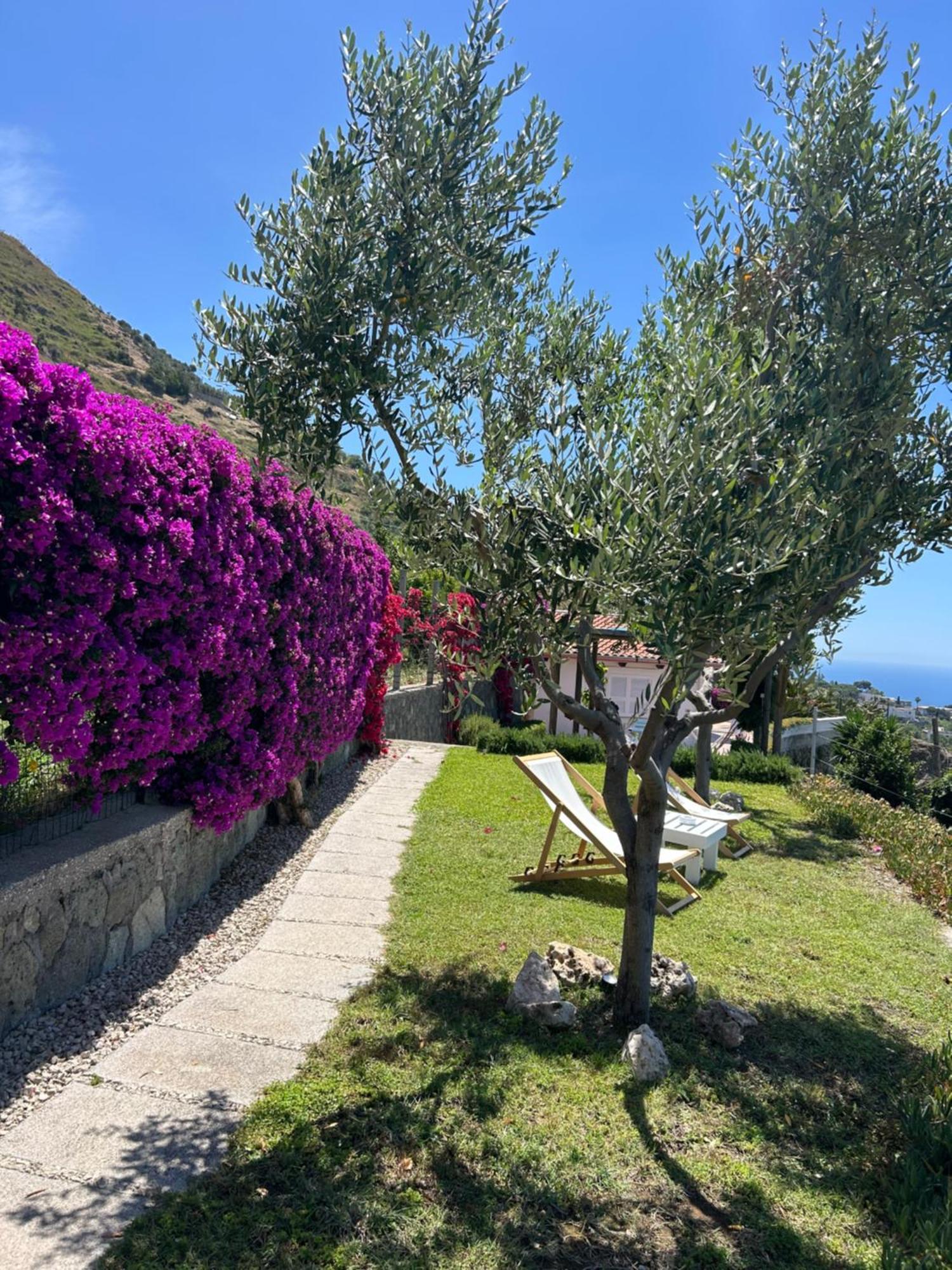 Villa Inarime Ischia Exterior photo